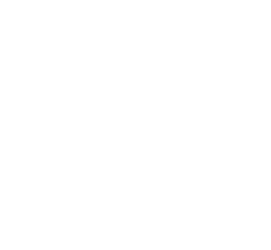 Sticker Autocollant   Harley Davidson V-ROD moto R87371