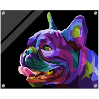 Tableau plexiglas avec fixations dog