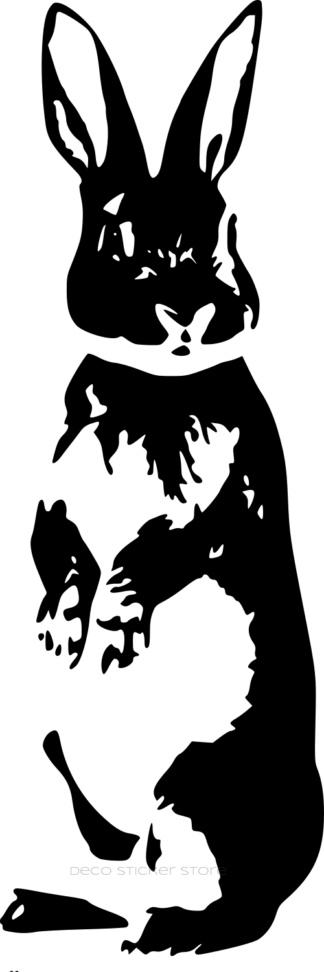 Sticker Autocollant modèle Lapin différentes tailles et couleurs