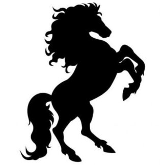 Sticker Cheval "cabré"