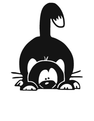 Sticker autocollant chat filou