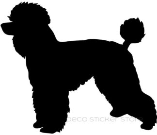 Sticker autocollant chien caniche