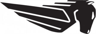 Sticker autocollant moto Buell modèle 3