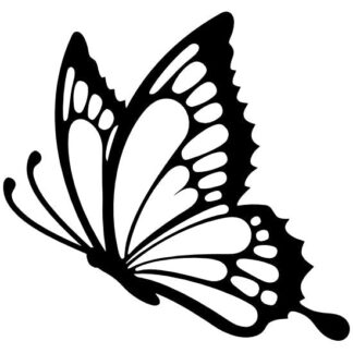 Sticker autocollant papillon taille et couleur au choix