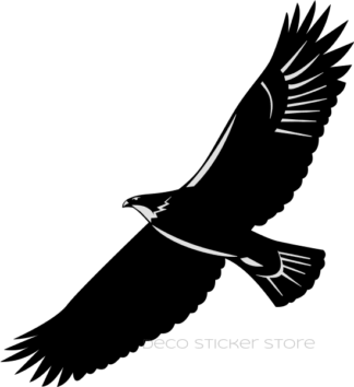 Sticker autocollant rapace