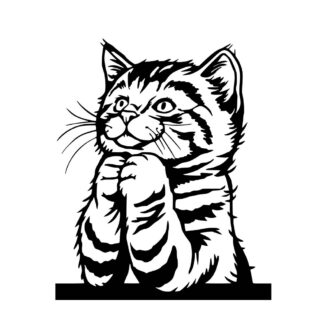 Sticker autocollant chat prie