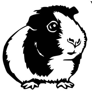 Sticker autocollant Aldo le cochon d’Inde