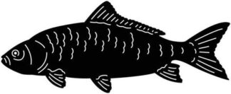 Sticker Autocollant Poisson pêche Q87296