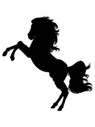 Sticker Autocollant  cheval V87307