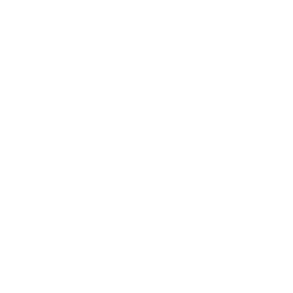 Sticker Autocollant  Audi Gecko Logo 1