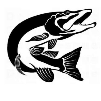 Sticker Autocollant Poisson brochet pêche Q87291