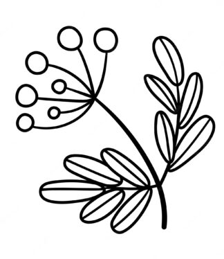 Sticker Autocollant baies fleur AJ87298
