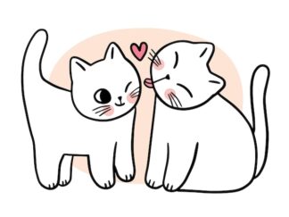 Sticker Autocollant chats love imprimé AQ87291