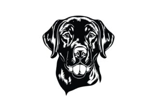 Sticker Autocollant Chien labrador deco Y87290