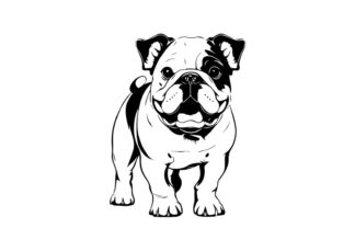 Sticker Autocollant Chien bulldog deco Y87292