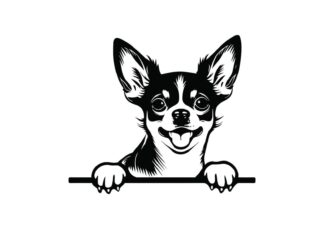 Sticker Autocollant Chien chihuahua deco Y87298