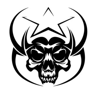 Sticker Autocollant  indian logo tête de mort skull AVw187305