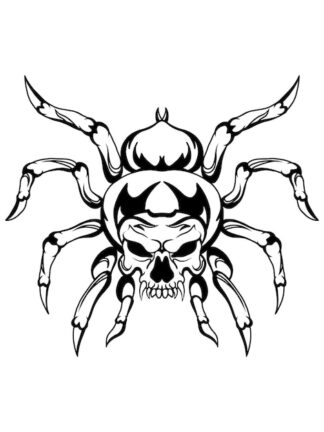 Sticker Autocollant araignée tête de mort  skull AV187302