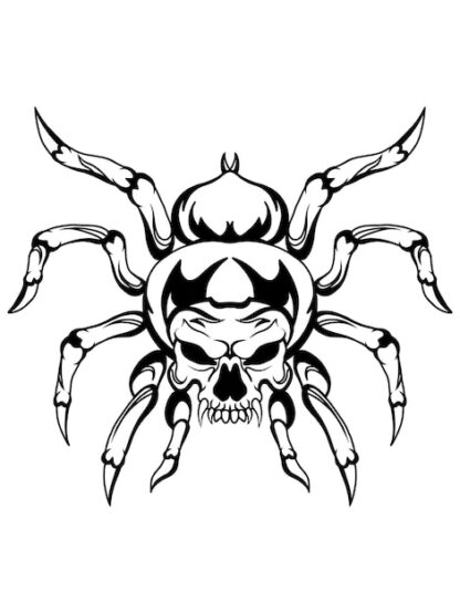 Sticker Autocollant araignée tête de mort  skull AV187302