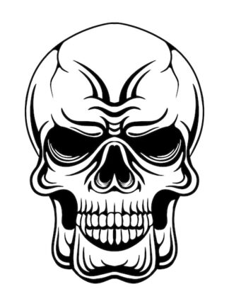 Sticker Autocollant tête de mort Skull AV187294