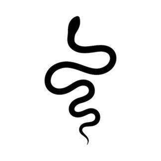 Sticker Autocollant serpent jungle SCF18729