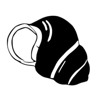 Sticker Autocollant coquillage plage SCE18746