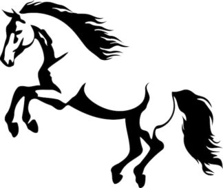 Sticker Autocollant cheval equide animaux  ANX21024