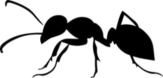 Sticker Autocollant insecte fourmie animaux  ANX1879