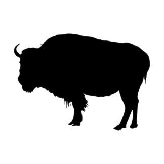 Sticker Autocollant vache bison animaux  ANI18748
