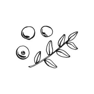 Sticker Autocollant canneberge fruit nourriture NFFL18759