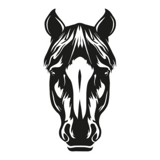 Sticker Autocollant cheval equide animaux  ANX21018