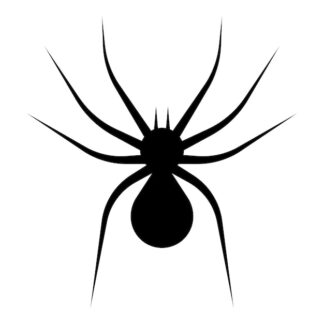 Sticker Autocollant araignée animaux  ANX1882