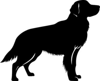 Sticker Autocollant chien labrador golden retriever chasse animaux  ANX21231