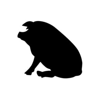 Sticker Autocollant cochon sanglier assis chasse animaux  ANX21237