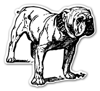 Sticker Autocollant chien  imprimé IMP2023212