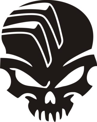 Sticker Autocollant skull crane citroen voiture auto  CIT157870