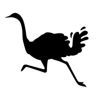 Sticker Autocollant oiseau autruche animaux  AN2446