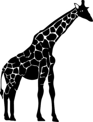 Sticker Autocollant girafe  animaux  AN2423