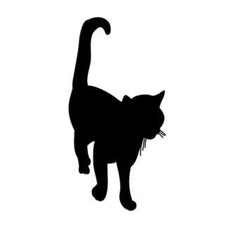 Sticker Autocollant chat animaux  AN2444