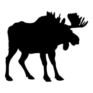 Sticker Autocollant elan cerf chasse animaux  AN2430