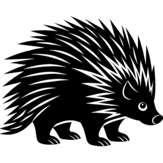 Sticker Autocollant hérisson animaux  JL22