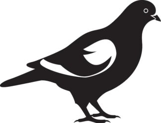 Sticker Autocollant oiseau pigeon animaux  ANI118