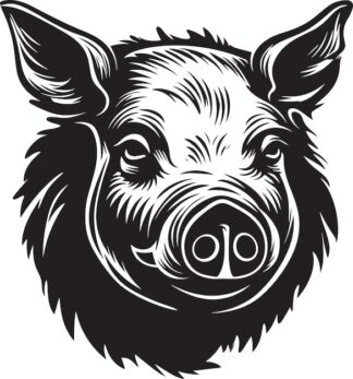 Sticker Autocollant sanglier cochon chasse animaux  ANI120