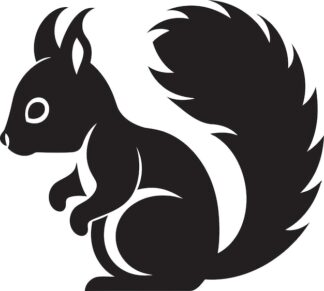 Sticker Autocollant ecureuil animaux  ANI136