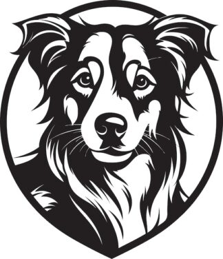 Sticker Autocollant chien border collie animaux  ANI130