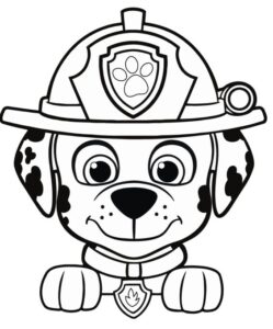 Sticker Autocollant pat patrouille marshall hero  PAT24