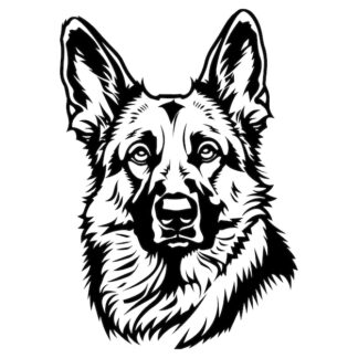 Sticker Autocollant chien malinois berger allemand animaux  ANICM29