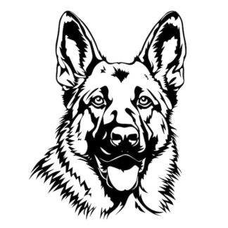 Sticker Autocollant chien malinois berger allemand animaux  ANICM33