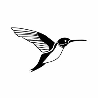 Sticker Autocollant colibri oiseau animaux  AN557