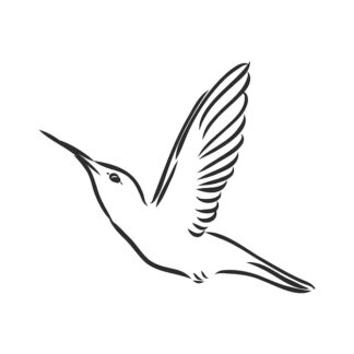 Sticker Autocollant colibri oiseau animaux  AN558